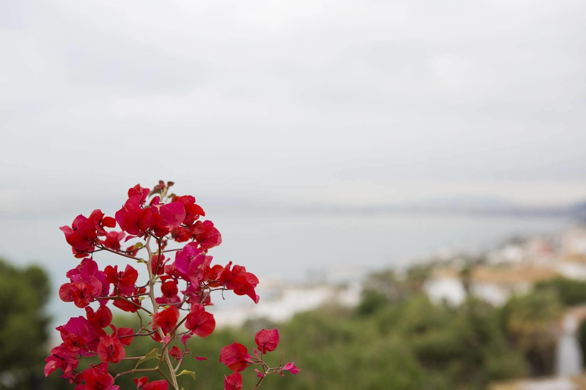 Apartmán Casa Balcon De Malaga Rincón de la Victoria Exteriér fotografie